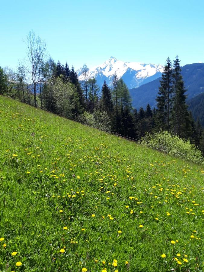 Ferienwohnung Schiestl Zell am Ziller Luaran gambar